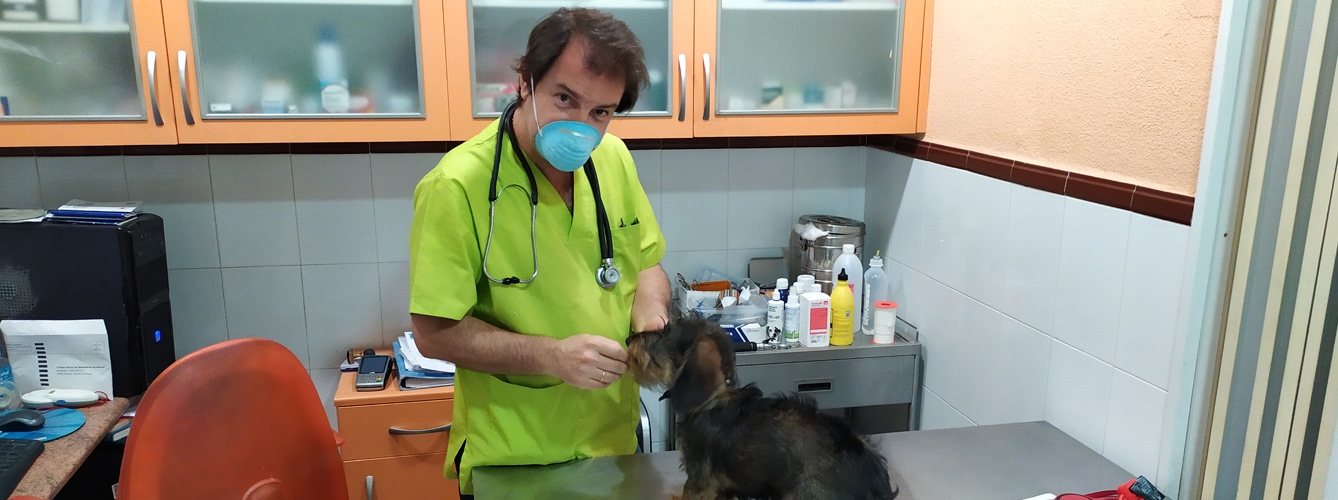 El veterinario Fernando Ros tras vacunar contra la rabia a un cachorro.