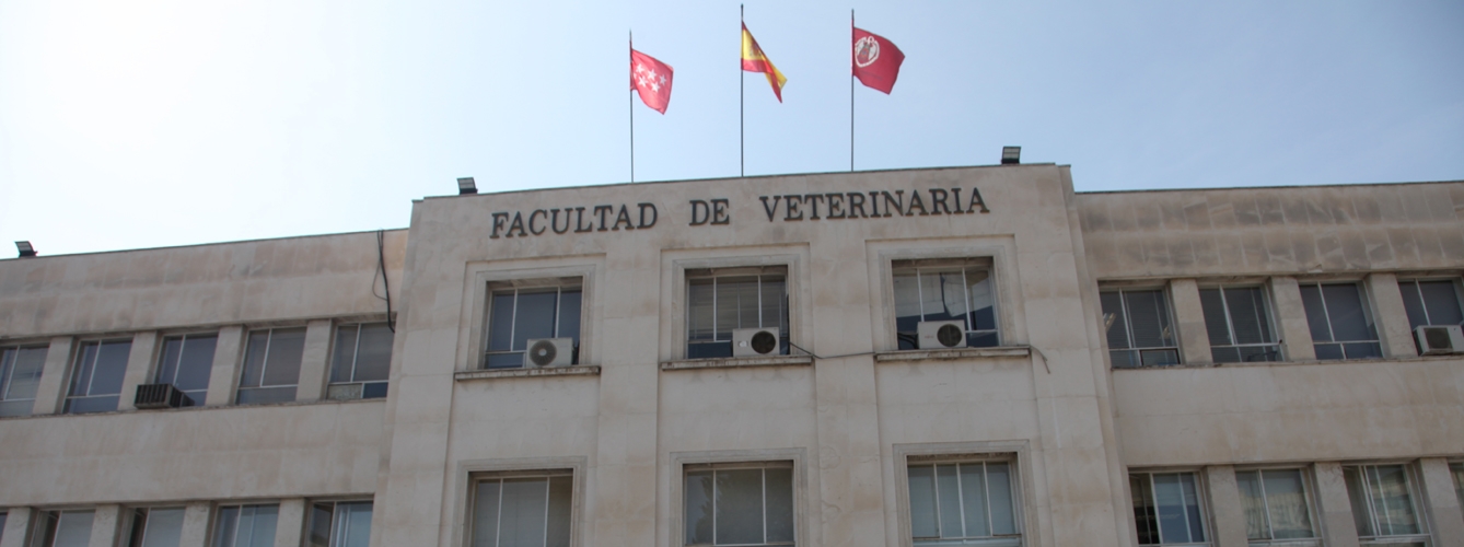El estudio ha sido liderado por el grupo de Infectología Microbiana Veterinaria de la UCM.