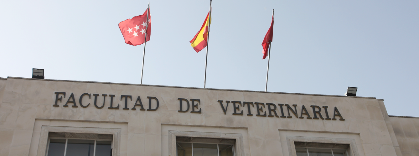 SALUVET tiene su sede en el Departamento de Sanidad Animal de la Facultad de Veterinaria de la Universidad Complutense de Madrid.