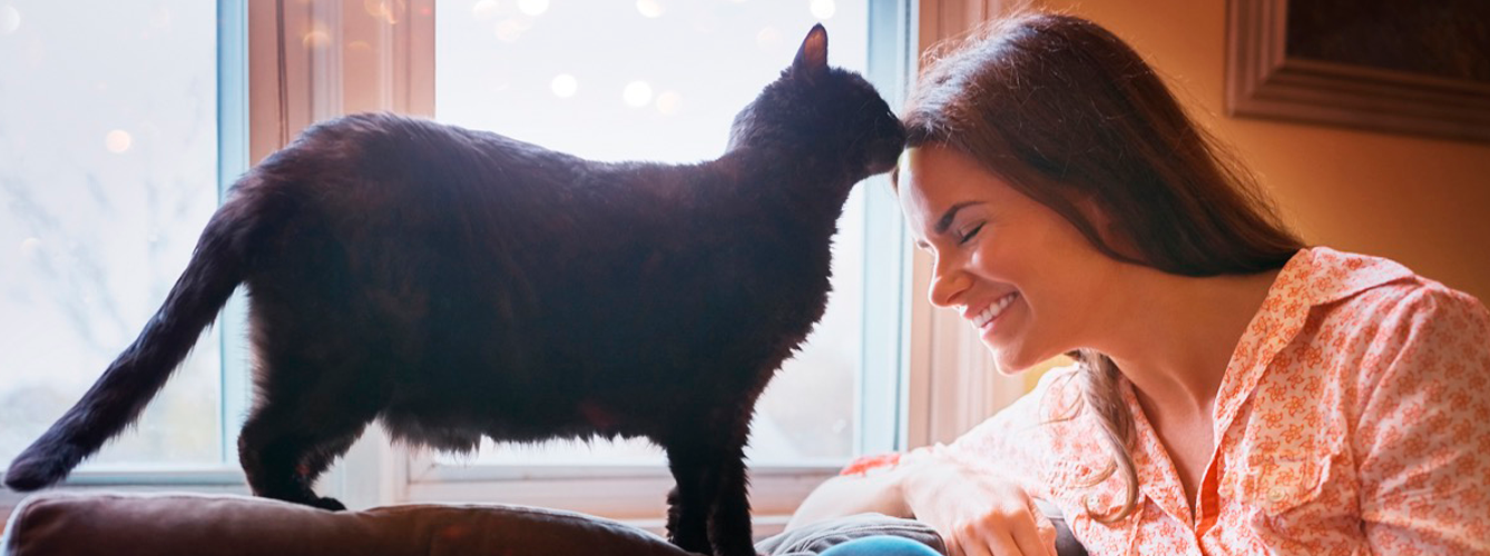 FELIWAY® Optimum reduce todos los signos frecuentes del estrés en los gatos y mejora la relación con sus propietarios.