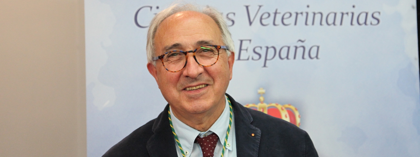 Francisco Rojo Vázquez, experto en parasitología y vicepresidente de la Real Academia de Ciencias Veterinarias de España.