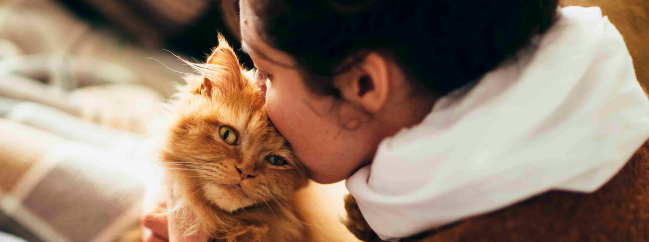 Los genes resistentes en la boca de los gatos tienen el potencial de transferirse a los humanos.