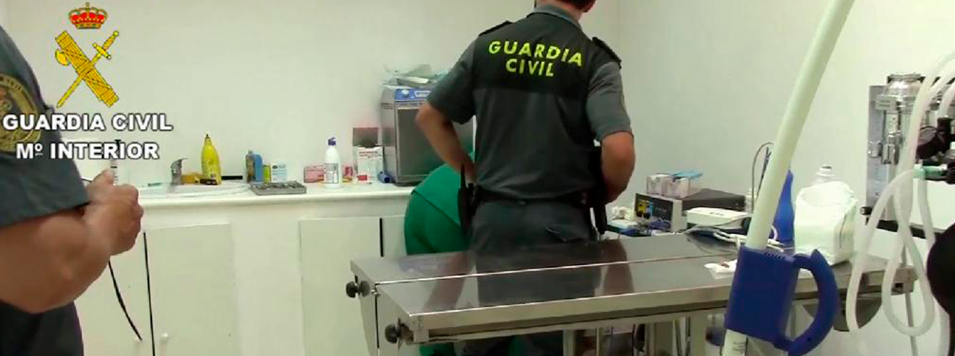 Imagen de archivo, Guardia Civil realizando una inspección en una clínica veterinaria.