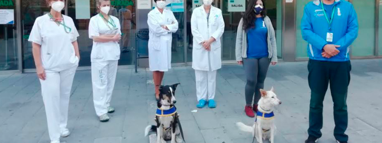 Equipo de terapia canina y personal del Hospital Universitario Virgen de las Nieves.