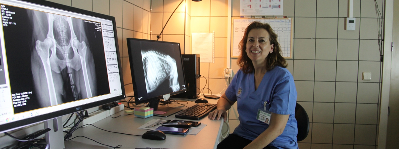 El curso estará dirigido por Isabel García Real, profesora de Radiología y Diagnóstico por Imagen de la Facultad de Veterinaria de la Universidad Complutense de Madrid.