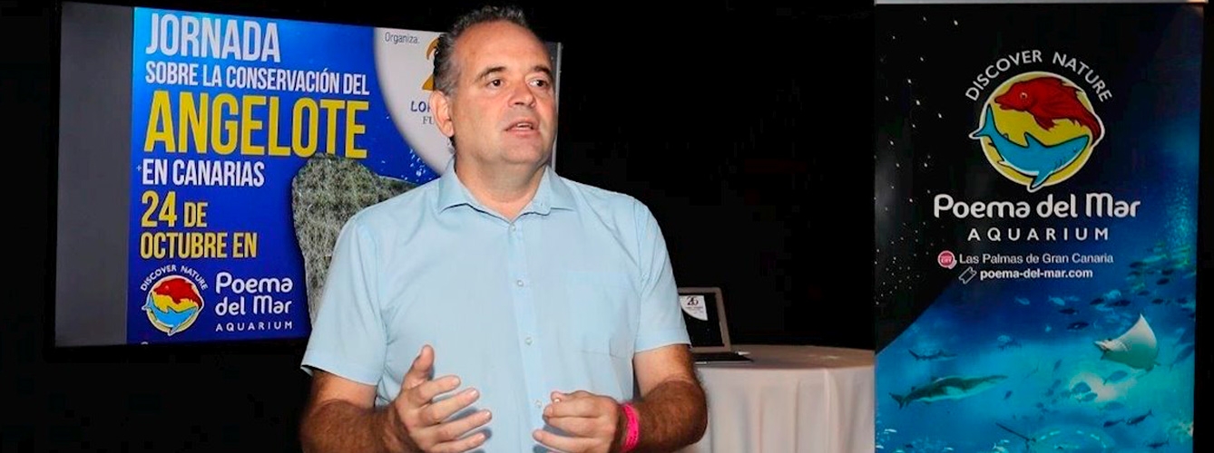Javier Almunia, presidente de la Junta Directiva de AIZA