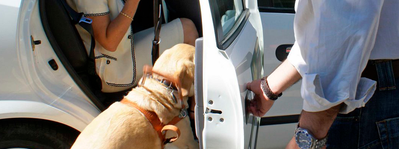 La Fiscalía consideró que no permitir el acceso al perro guía comportaba inevitablemente la denegación delictiva del servicio a su dueño con discapacidad visual.