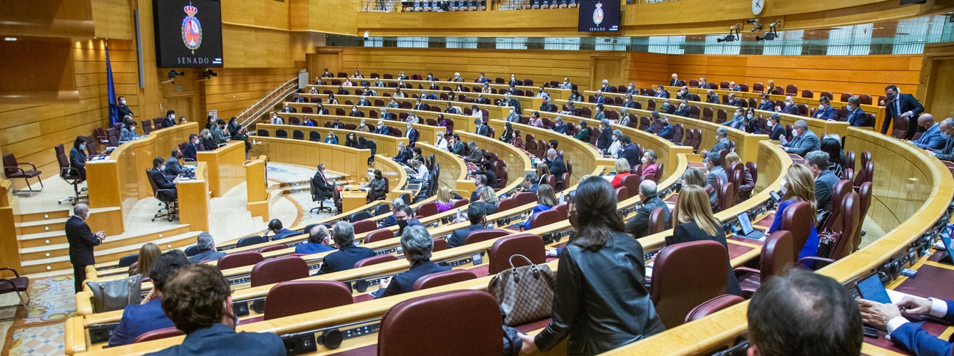 Imagen de un pleno en el Senado.