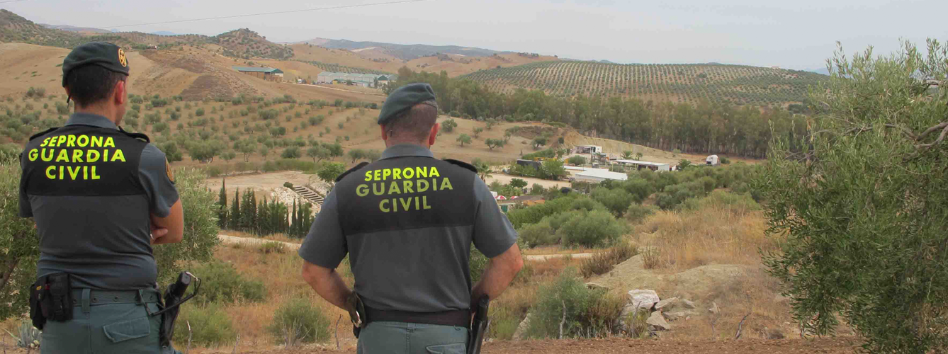 Agentes del Seprona en el medio rural.