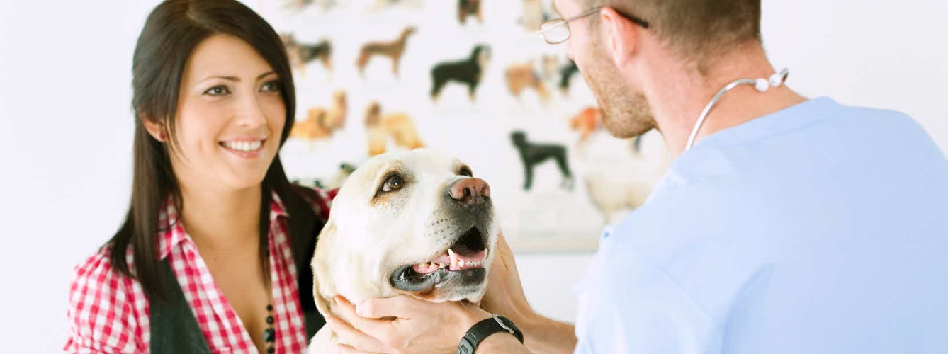 El 86% de los propietarios de todo el mundo pagaría lo que fuera necesario si su mascota necesitara una atención veterinaria exhaustiva.