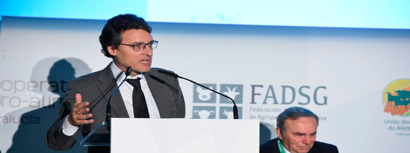 Fernando Miranda, secretario general de Agricultura y Alimentación
