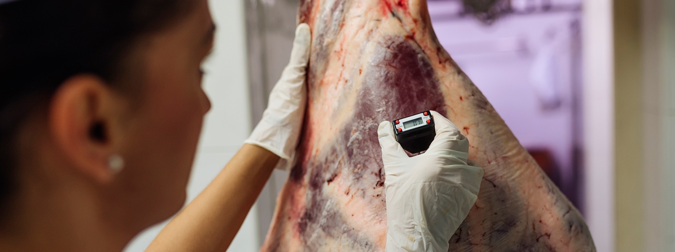 Los veterinarios de Toledo inspeccionan más de 270.000 piezas de caza