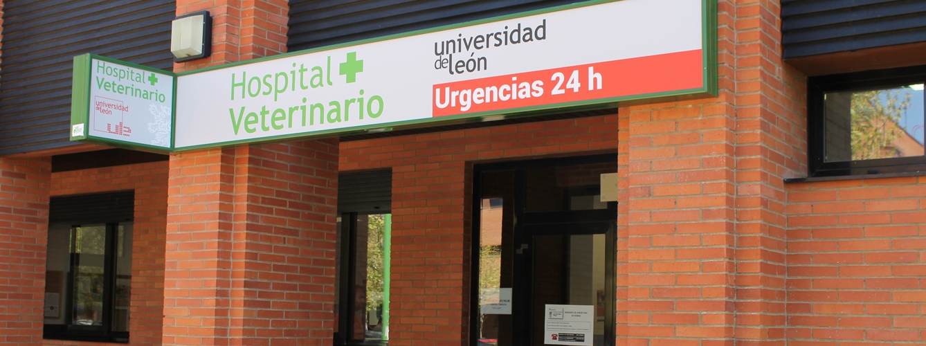 El Hospital Veterinario de León atiende un 21% más de casos clínicos