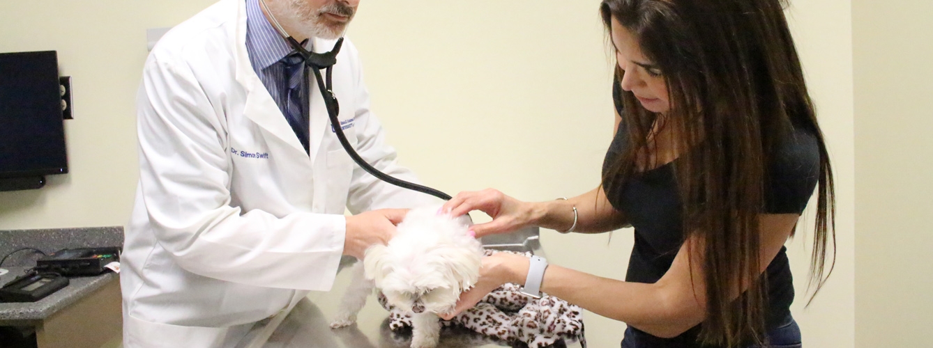 El aprendizaje experiencial mejora la comunicación de los veterinarios