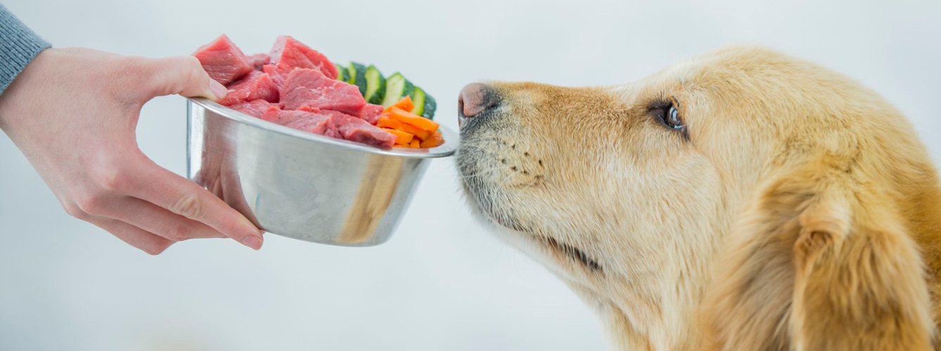 Retiran 3 lotes de comida cruda de mascotas contaminada con salmonela