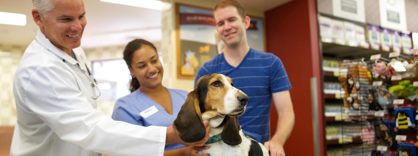 Cae el precio de los servicios veterinarios por primera vez en 11 meses