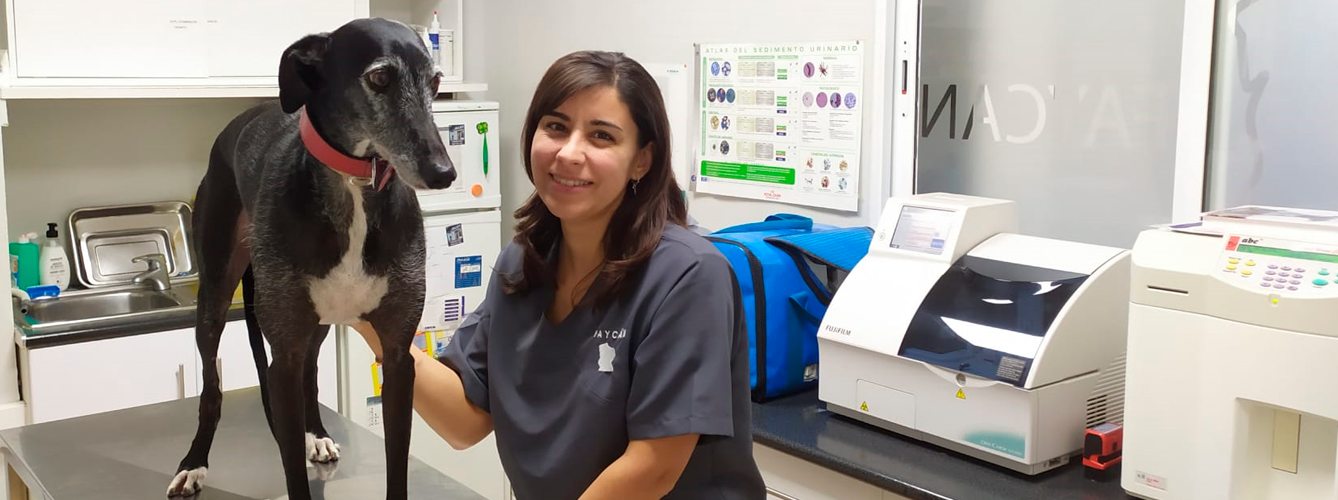 Paloma Huerta, ATV en las clínicas veterinarias Faycán y antigua alumna de la Escuela de Veterinaria de Master D