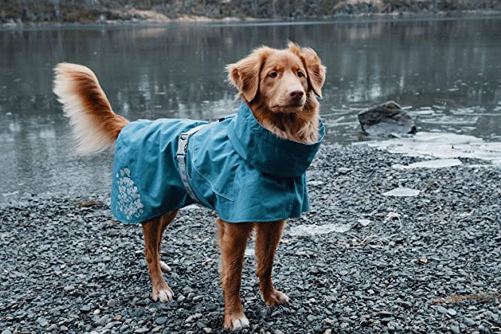 Hurtta es una marca finlandesa de ropa técnica y accesorios de alta calidad para perros activos. 