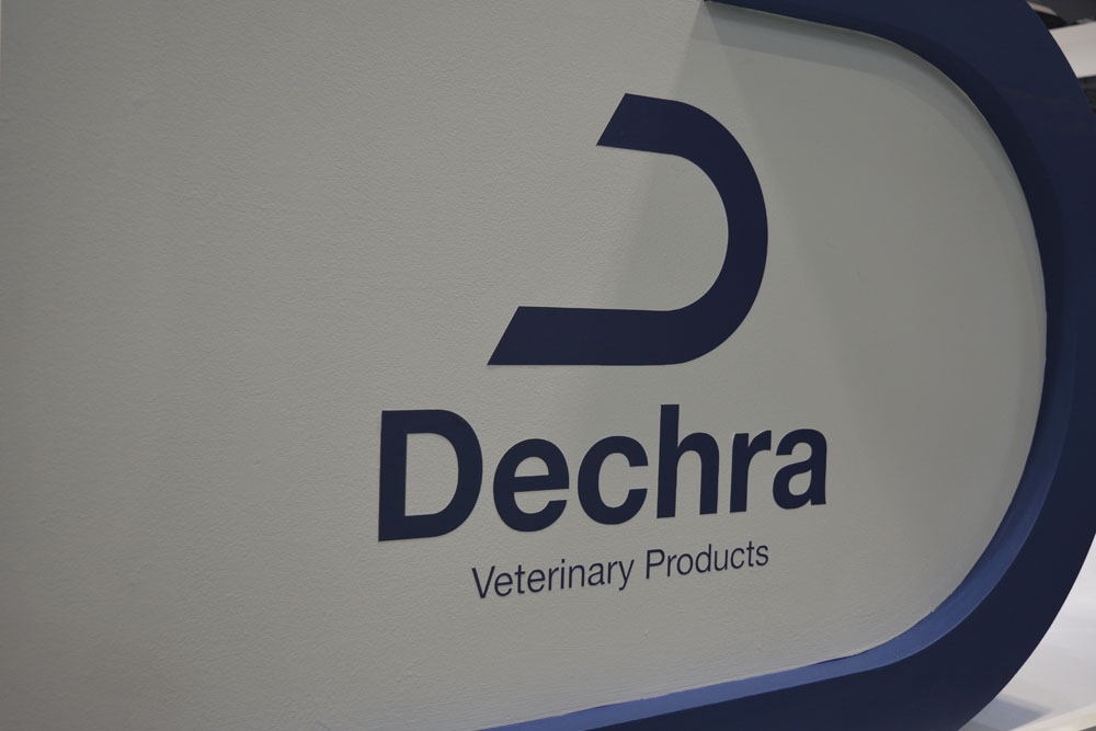 Dechra ofrece un  webinar sobre el uso racional de los diuréticos.