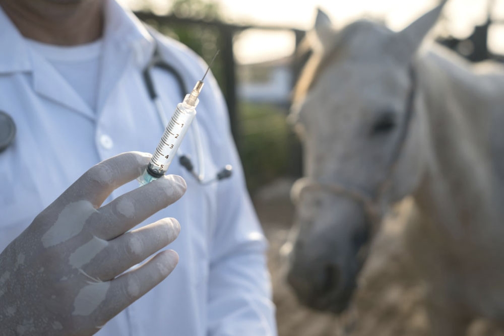La vacunación fomenta el bienestar de los animales al proteger su salud.
