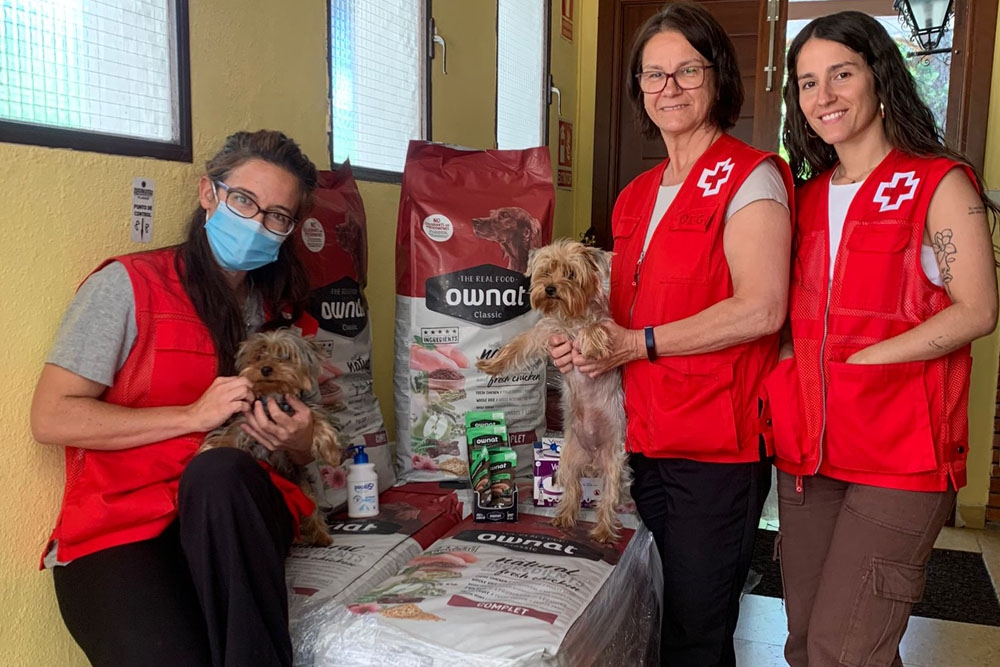 Ceva Salud Animal ha donado antiparasitarios, productos de higiene, comederos y pienso para las mascotas de refugiados ucranianos.