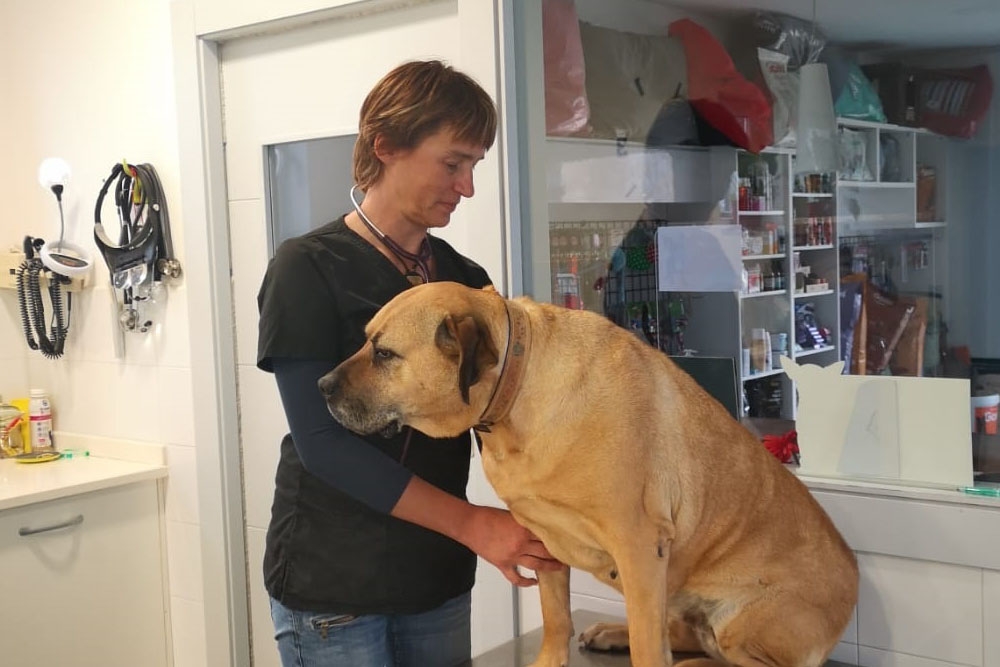 Maite Poveda Larraza, propietaria de la clínica veterinaria Zelai, acogerá a una colega ucraniana.