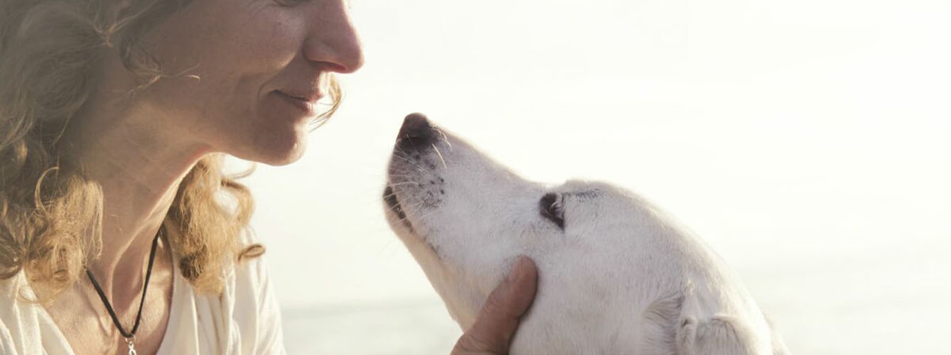 En el estudio, más del 70% de los propietarios identificó correctamente el olor de sus perros. 