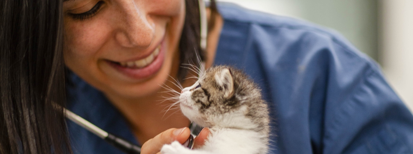 Los veterinarios españoles especialistas en pequeños animales apoyan la manifestación nacional veterinaria. 