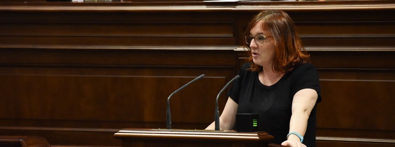 Natividad Arnáiz, diputada de Podemos en el Parlamento de Canarias