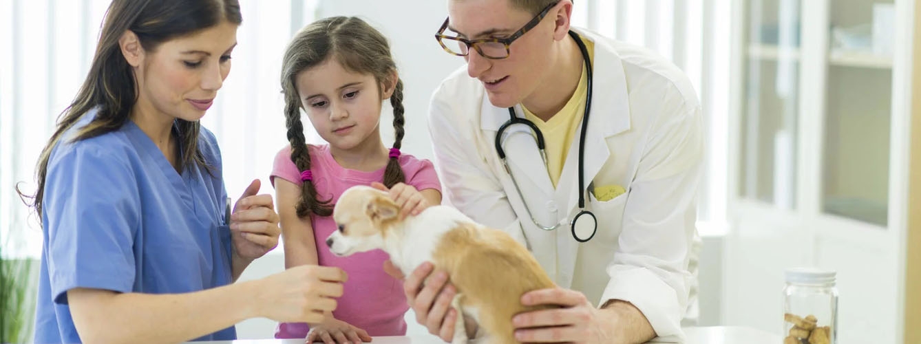 La veterinaria es la quinta profesión preferida por los niños españoles