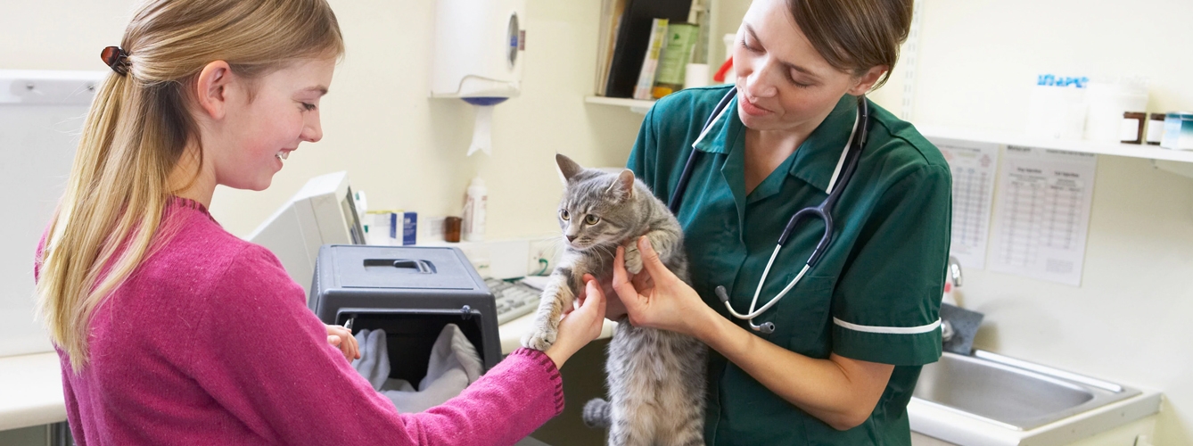 Mujeres y veterinarios, los que mejor entienden a los gatos