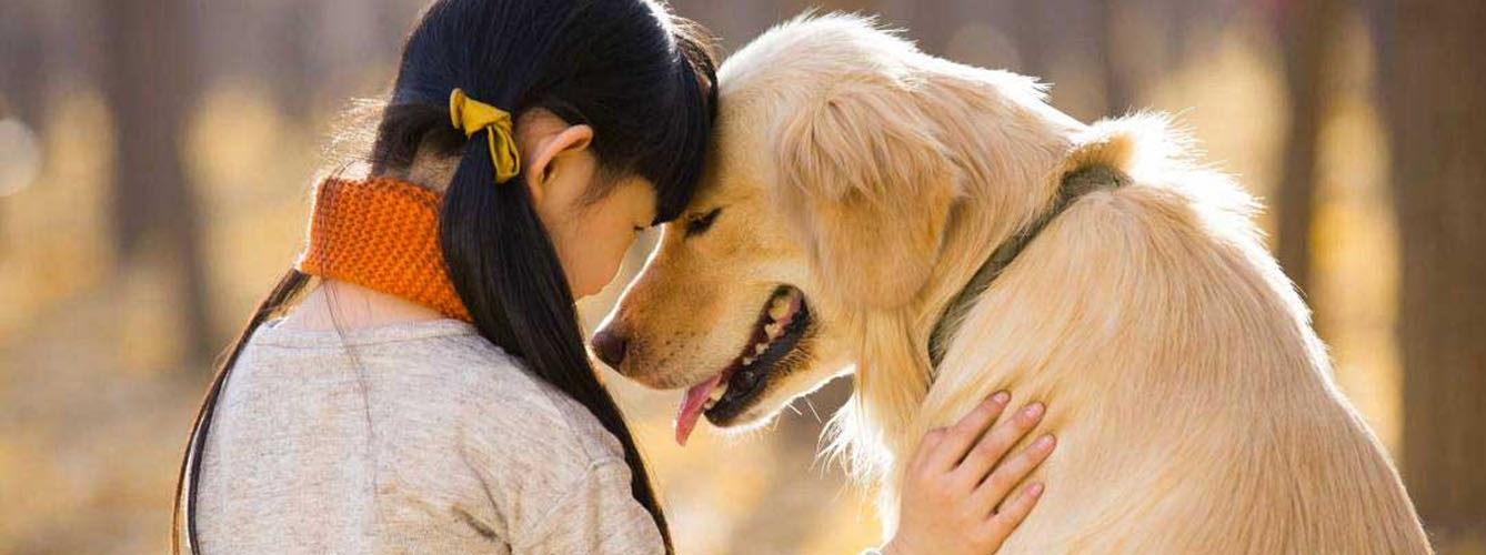 La prevención, la mejor arma contra la leishmaniosis canina y humana