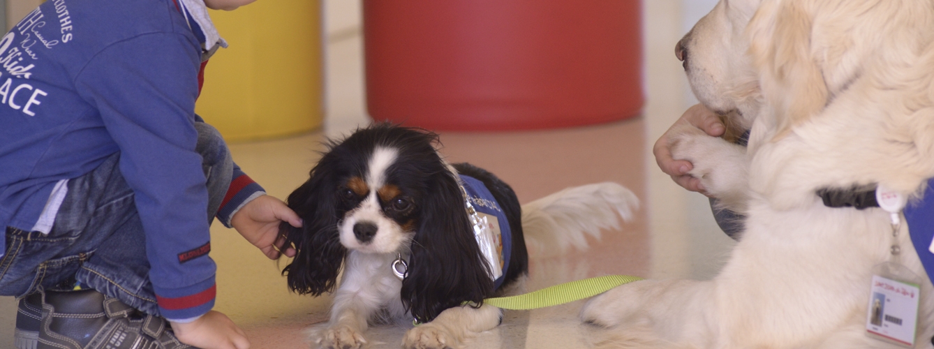 Mejoran el bienestar de niños hospitalizados con terapias con perros 