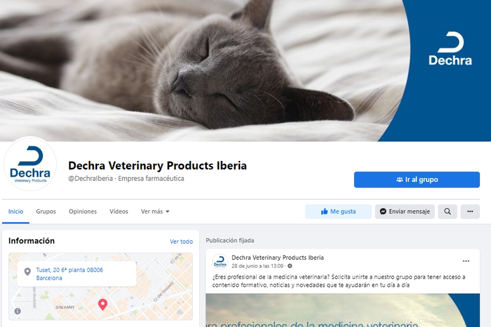 En Facebook, Dechra compartirá contenido dirigido a todos los públicos sobre la importancia del seguimiento veterinario de las mascotas y de la sostenibilidad.