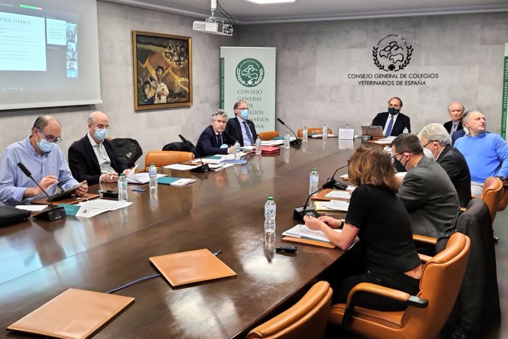 Imagen de la reunión de la Junta de la Organización Colegial Veterinaria el pasado 25 de marzo.