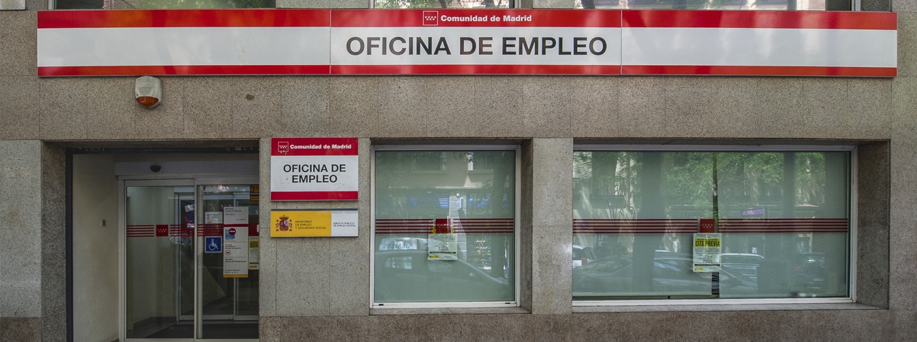 España tiene 536 veterinarios empleados más que hace un año