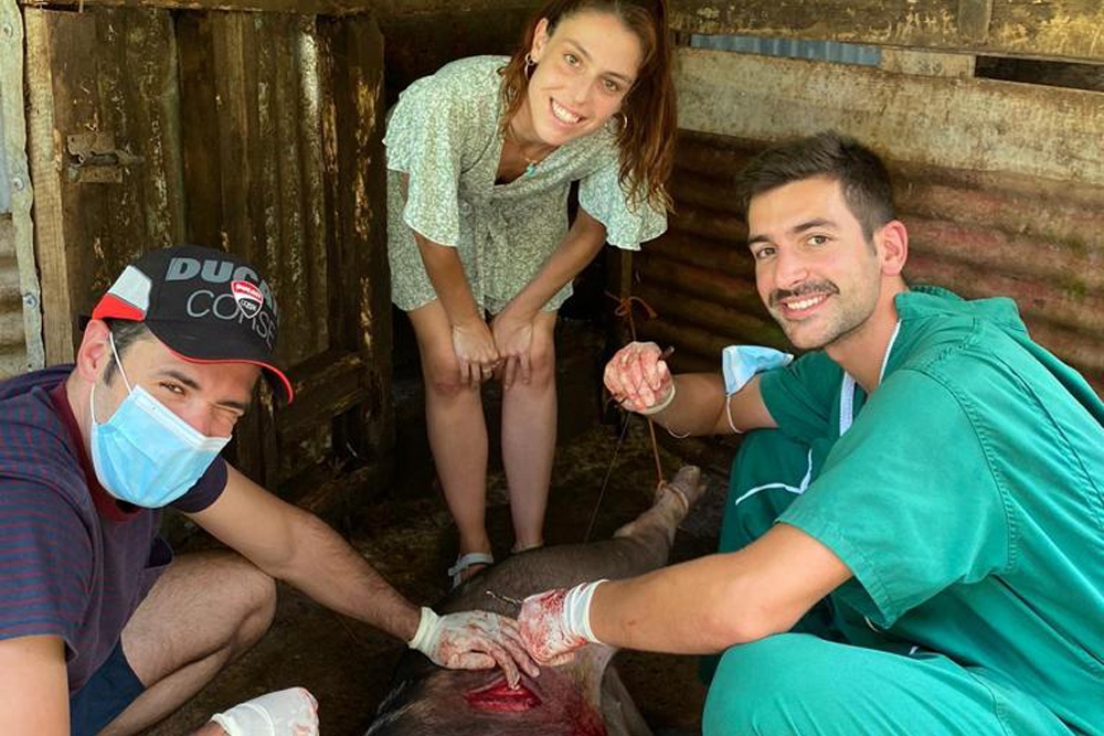El veterinario rural Pablo Huegun (derecha) atendiendo a un animal en el Caribe.