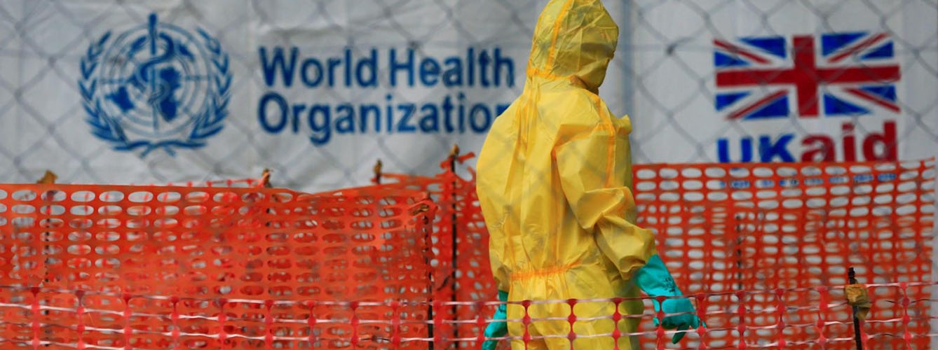 La OMS alerta de posible pandemia mundial por enfermedades animales