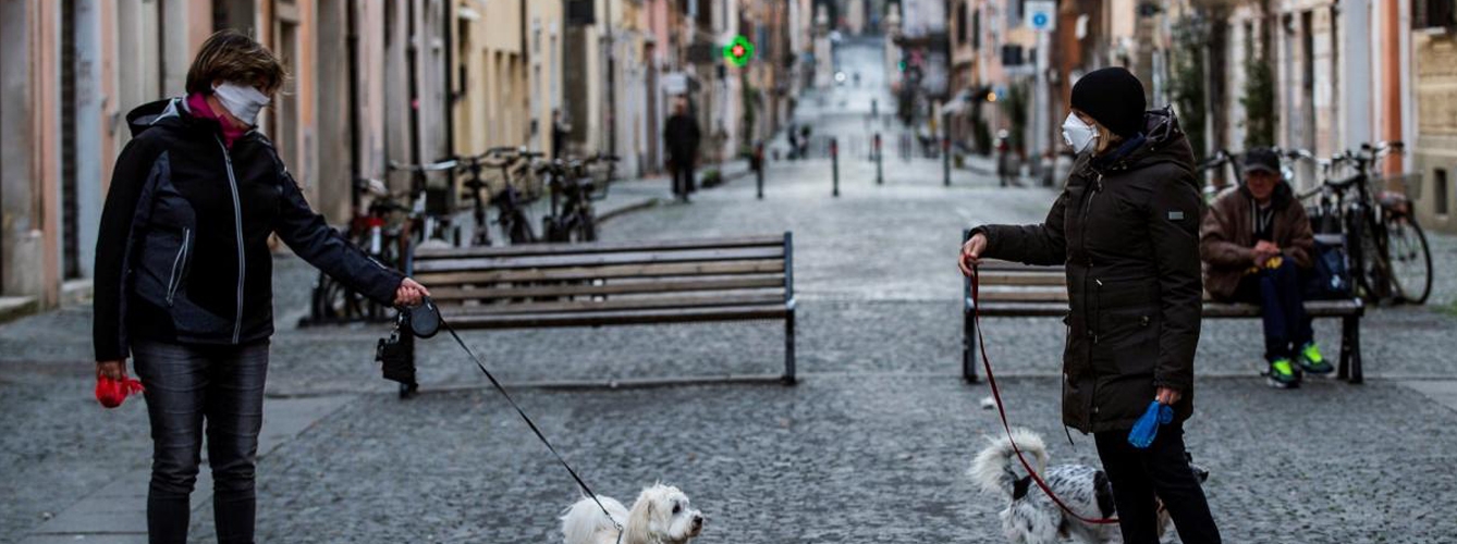 El coronavirus en España también cambió la forma de pasear al perro