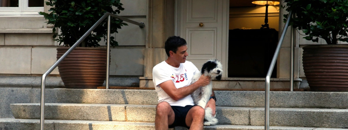Pedro Sánchez con su perra Turca