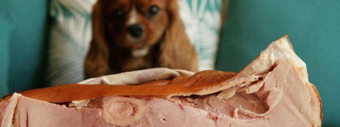 Clínicas veterinarias piden no dar la carne  mechada retirada a animales
