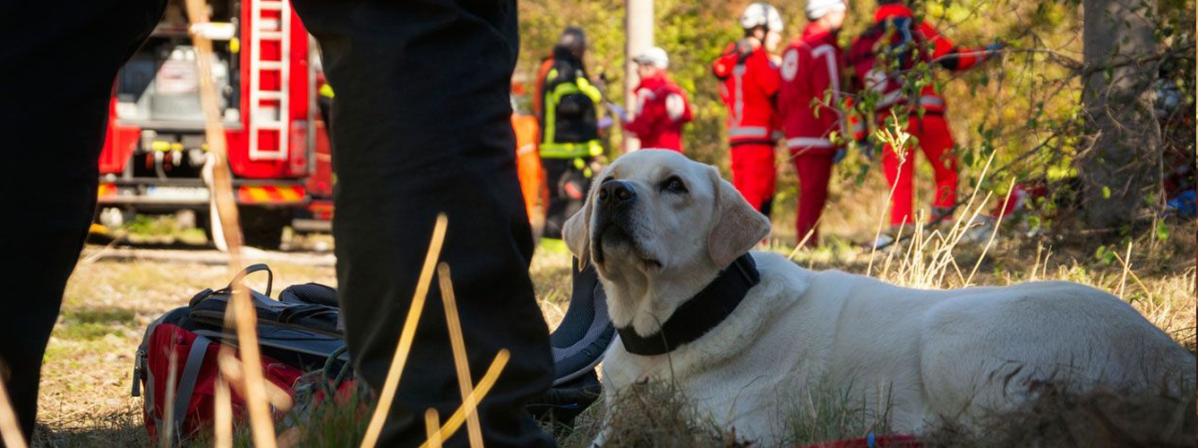 Amplían el número de perros de rescate en las unidades de bomberos
