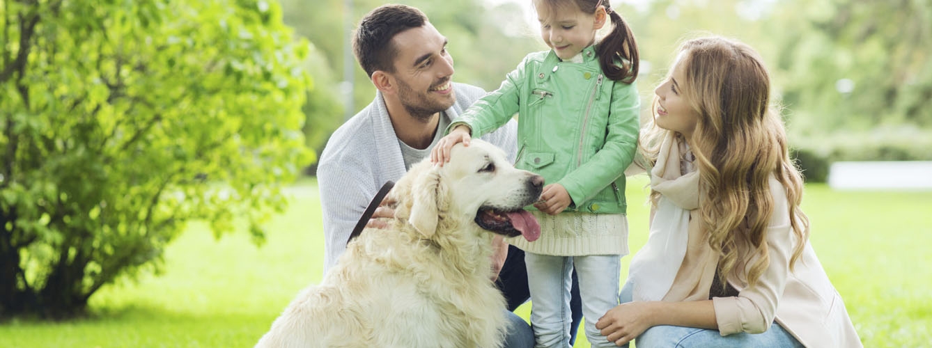 Día del perro: 5 consejos para demostrarles que son parte de la familia