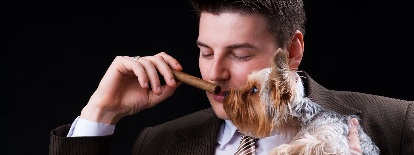 El humo del tabaco afecta a la salud de las mascotas 