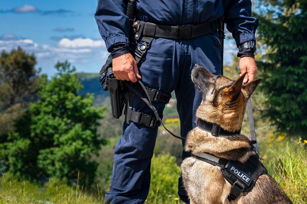 La investigación se centra en el potencial impacto positivo que pueden tener los perros dentro de la comisarias en la salud mental de los policías.