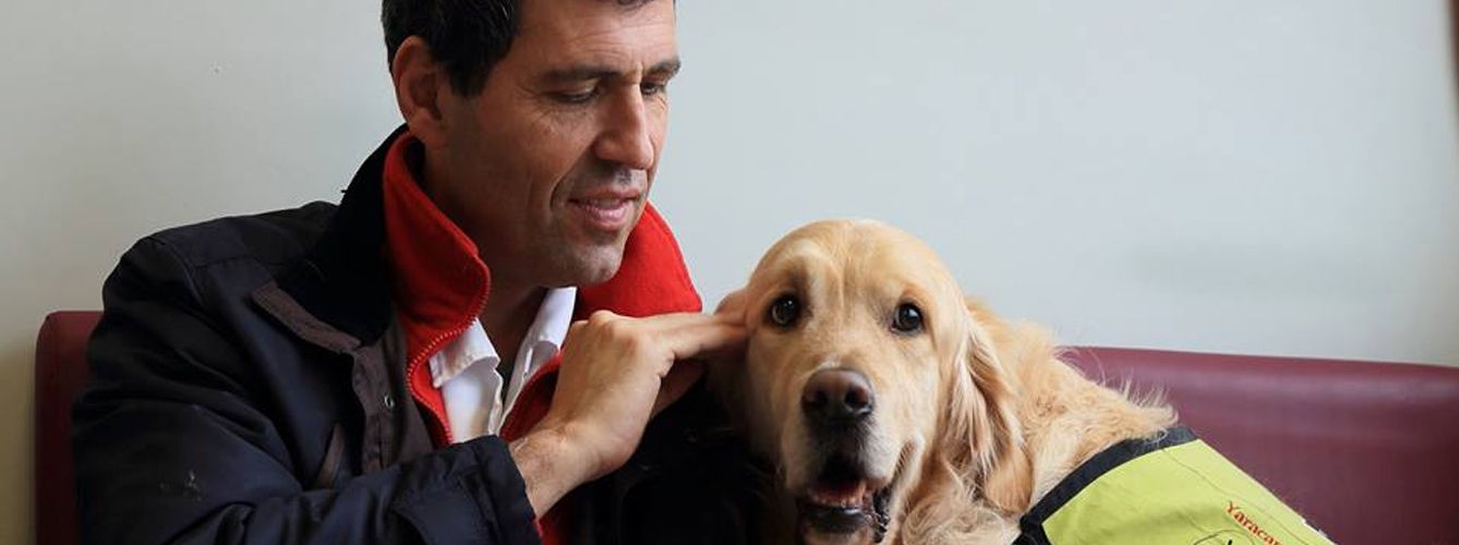 La terapia con animales reduce el uso de psicofármacos en hospitales