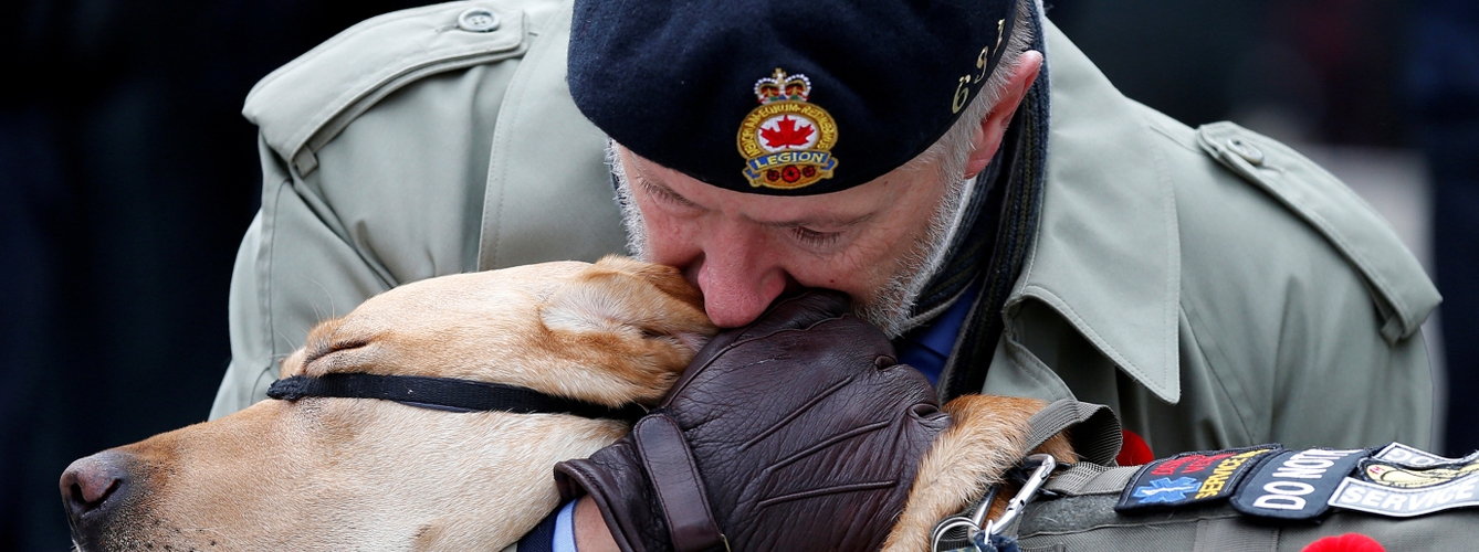 Donan 2,5 millones a los perros de asistencia de veteranos de guerra 
