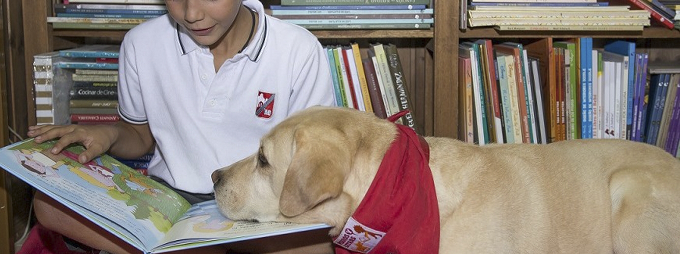 Perros y lectura en ayuda de niños con necesidades especiales