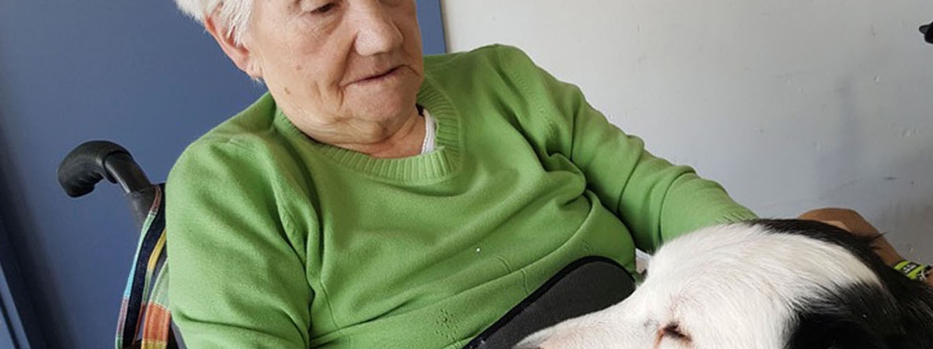 La terapia con perros, fundamental para las personas mayores