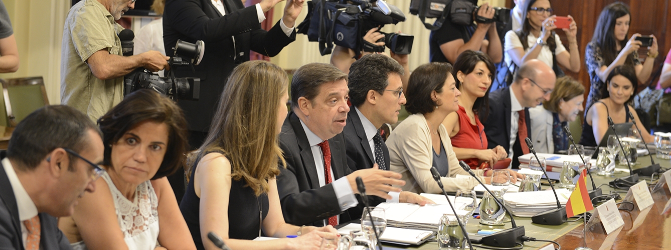 El ministro de Agricultura, Luis Planas, ha presidido la Conferencia Sectorial de Agricultura y Desarrollo Rural.